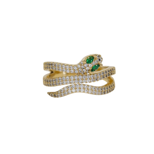 Heidi Ring